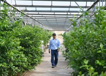 ТҮРКІСТАН ОБЛЫСЫНДА АУЫЛ ШАРУАШЫЛЫҒЫ ӨНІМІНІҢ КӨЛЕМІ 1 ТРЛН. ТЕҢГЕДЕН АСЫП, РЕСПУБЛИКАДА КӨШ БАСТАДЫ