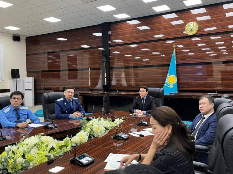 ПРЕЗИДЕНТТІҢ КӨМЕКШІСІ ЕРЛАН ЖИЕНБАЕВТЫҢ ТӨРАҒАЛЫҒЫМЕН ОНЛАЙН КЕҢЕС ӨТТІ