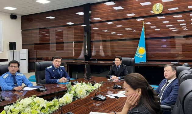 ПРЕЗИДЕНТТІҢ КӨМЕКШІСІ ЕРЛАН ЖИЕНБАЕВТЫҢ ТӨРАҒАЛЫҒЫМЕН ОНЛАЙН КЕҢЕС ӨТТІ