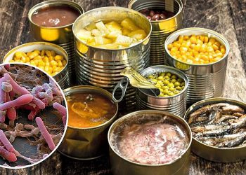 Ботулизм ауруының алдын алу