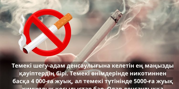 Темекі шегу адам денсаулығына қауіпті