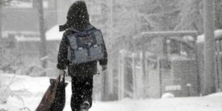 Астана мен Павлодар облысында оқушылар мен студенттер қашықтан оқуға жіберілді