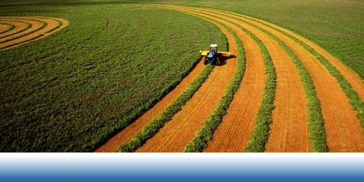 Ауылшаруашылығын субсидиялауда ақпараттық жүйе қызметіндегі кедергілер жойылды