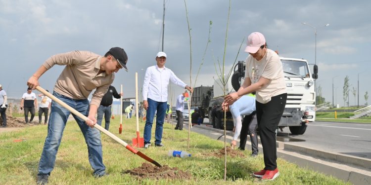 ТАЛ ЕКТІ, ТАЗАЛАДЫ, АЙНАЛАНЫ КӨРКЕЙТТІ