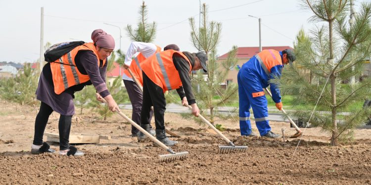 В ШЫМКЕНТЕ ПРОХОДИТ АКЦИЯ «ТАЗА ҚАЗАҚСТАН»