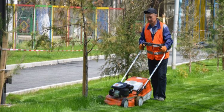 ЖЕТІСАЙ АУДАНЫНДА ЭКОАКЦИЯ АЯСЫНДА 300 ТҮП АҒАШ ӘКТЕЛДІ