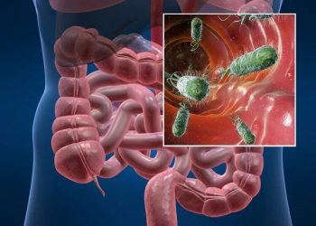 Профилактика острых кишечных инфекций