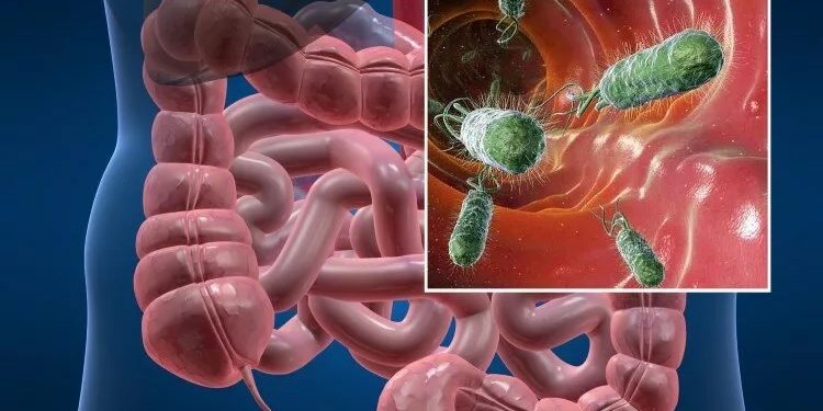 Жедел ішек инфекцияларының алдын алу