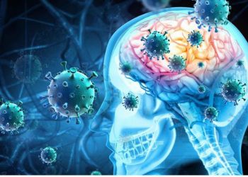 Менингококкты инфекция — қауіпті жұқпалы ауру