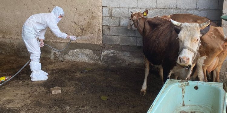 ВЕТЕРИНАРИЯЛЫҚ- САНИТАРИЯЛЫҚ ҚАУІПСІЗДІКТІ ҚАМТАМАСЫЗ ЕТУ -БАСТЫ МІНДЕТ