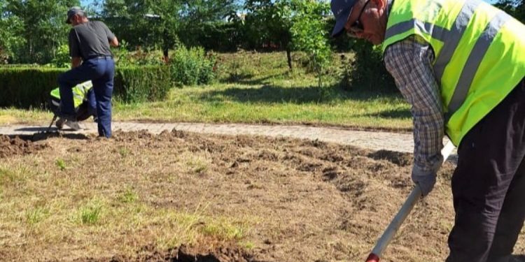 «АГРОПРОМ» ГҮЛЗАРЫНДА ТАЗАЛЫҚ ЖҰМЫСТАРЫ ЖҮРГІЗІЛДІ