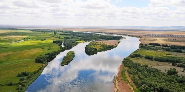 Трансшекаралық ынтымақтастық