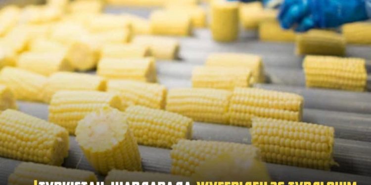 ТҮРКІСТАН: ШАРДАРАДА ЖҮГЕРІДЕН 26 ТҮРЛІ ӨНІМ ШЫҒАРАТЫН ЗАУЫТ ІСКЕ ҚОСЫЛАДЫ
