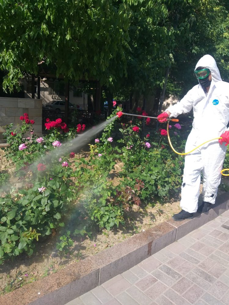 Шымкентте масаларға қарсы залалсыздандыру жұмысы басталды