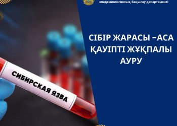 Сібір жарасы — аса кауіпті жұқпалы ауру