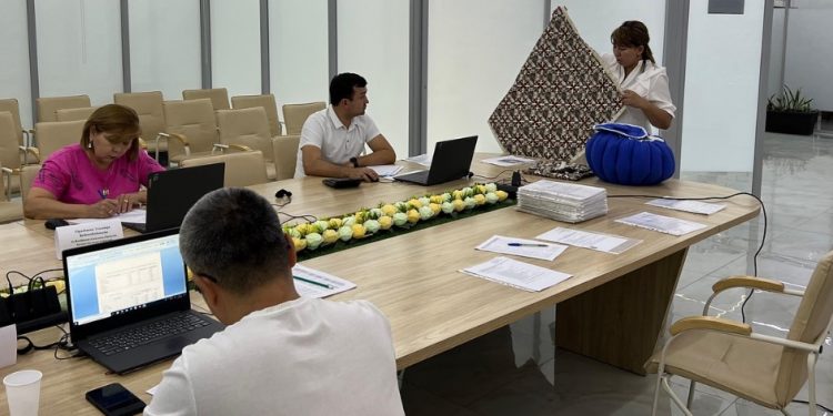 ҚАЙТАРЫМСЫЗ ГРАНТ: екінші лекте 217 шымкенттіктің өтініші мақұлданды​