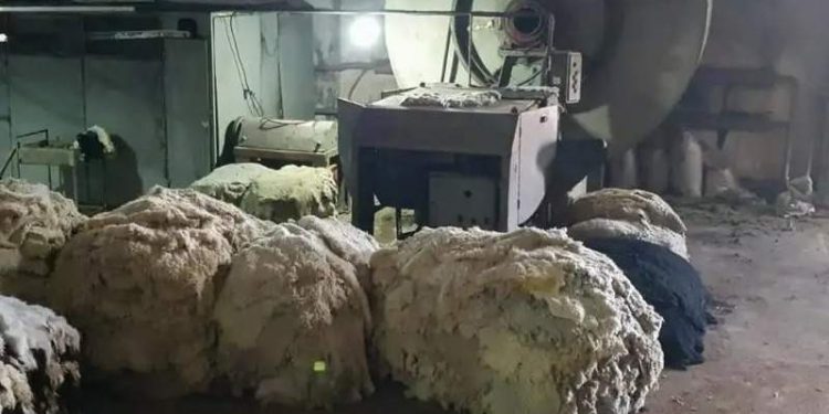 Өзбекстан бізге тері шикізатының көзі ретінде қарап отыр – Нұрман Нүптекеев