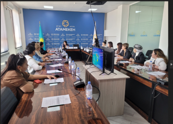 Іскер әйелдер кеңесінің жұмысы пысықталды