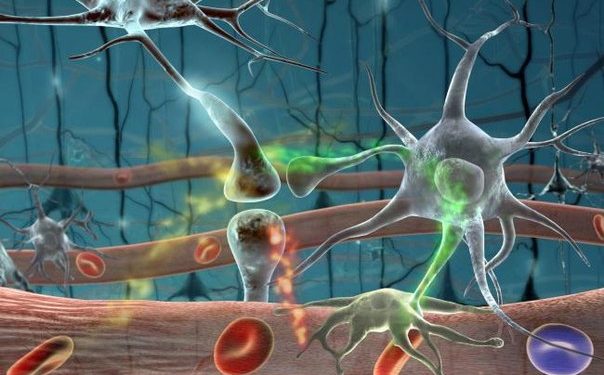 Трихоцефалеза — паразиттік ауру