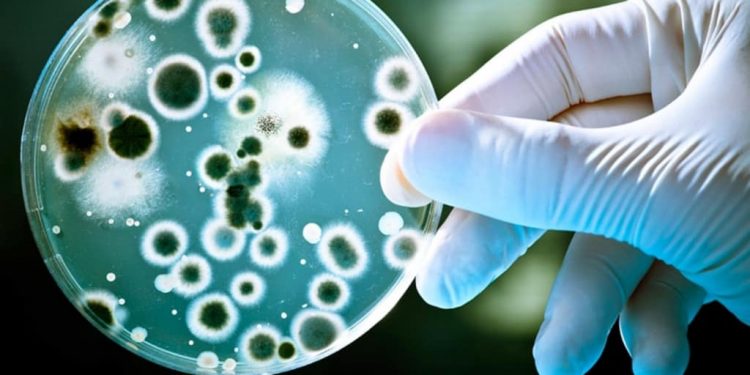 Бруцеллезден сақтаныңыз!