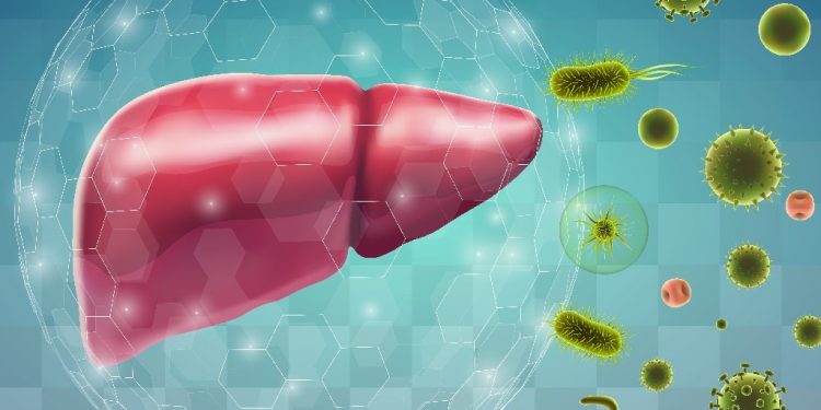 А вирусты гепатитінің алдын алу