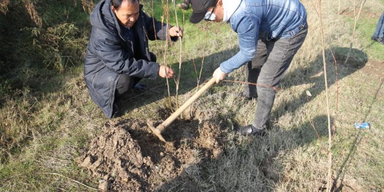 ТҮРКІСТАН ОБЛЫСЫНДА «ТАЗА ҚАЗАҚСТАН» БАҒДАРЛАМАСЫН ҰЙЫМДАСТЫРУ БОЙЫНША АУДАН, ҚАЛА ӘКІМДЕРІНІҢ РЕЙТИНГІ ӘЗІРЛЕНДІ