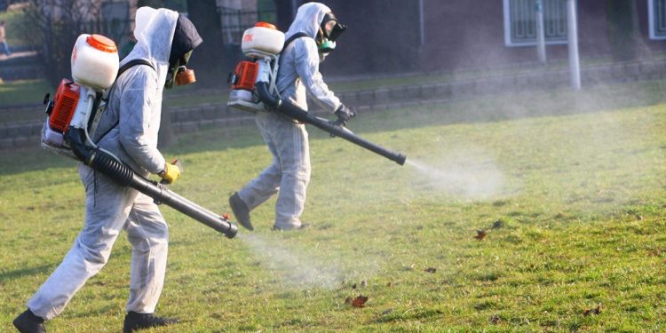 ТҮРКІСТАН ОБЛЫСЫНДА КОНГО-ҚЫРЫМ ГЕМОРОЛОГИЯЛЫҚ ҚЫЗБАСЫНА ҚАРСЫ ЗАЛАЛСЫЗДАНДЫРУ ЖҰМЫСТАРЫ ЖҮРГІЗІЛЕДІ