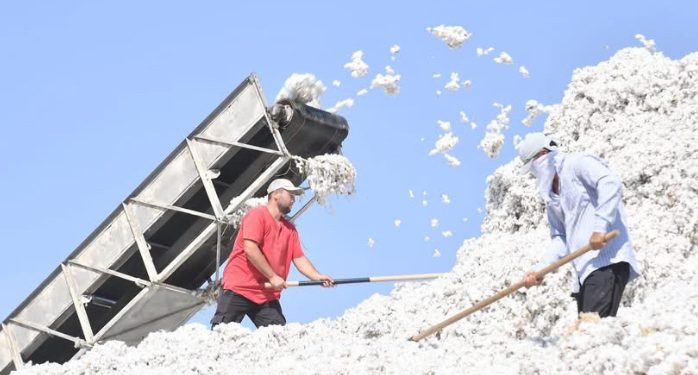 Түркістан облысының жалпы өңірлік өнім көлемі 7 жылда 2,6 есе өсті 