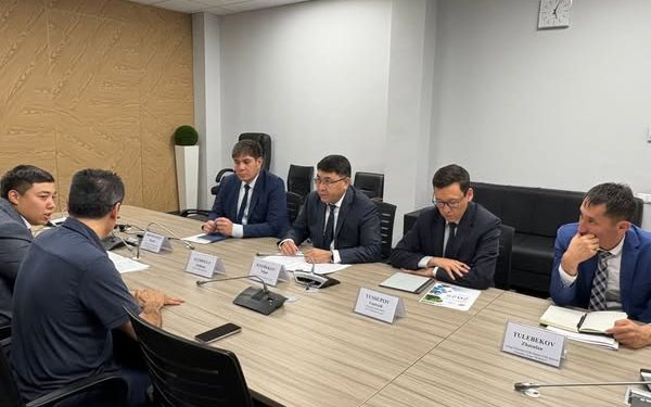 ТҮРКІСТАН: ОБЛЫС ӘКІМІНІҢ ОРЫНБАСАРЫ ТҮРКИЯЛЫҚ ИНВЕСТОРМЕН КЕЗДЕСТІ