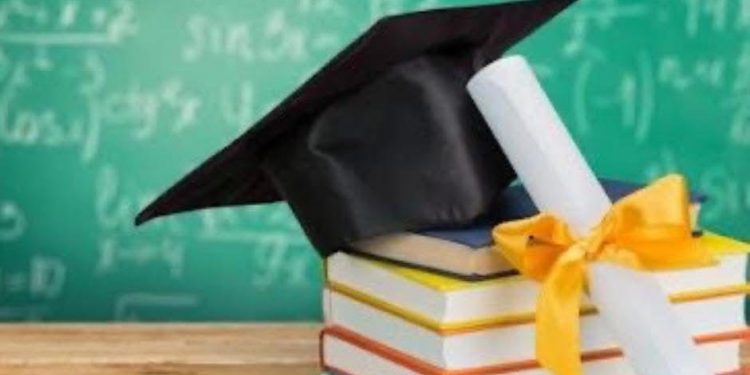 ТҮРКІСТАН ОБЛЫСЫНДА 800-ДЕН АСТАМ ТҮЛЕК «СЕРПІН» БАҒДАРЛАРМАСЫМЕН ГРАНТҚА ТҮСТІ