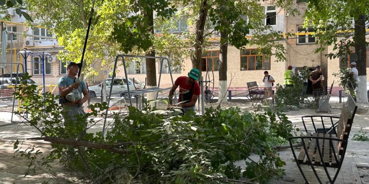 ШЫМКЕНТ: «ТАЗА ҚАЗАҚСТАН» ЭКОЛОГИЯЛЫҚ АКЦИЯСЫ АЯСЫНДАҒЫ КЕЗЕКТІ ТАЗАЛЫҚ ІС-ШАРАСЫ ӨТТІ