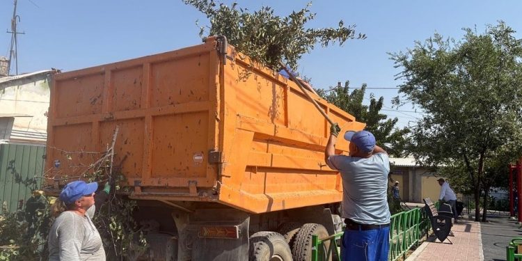 ШЫМКЕНТ ҚАЛАСЫНДА «ТАЗА ҚАЛА» ЖАЛПЫ ҚАЛАЛЫҚ АКЦИЯСЫ ӨТТІ