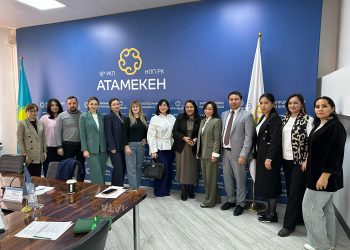 ӘЙЕЛДЕР ІСКЕРЛІГІН ДАМЫТУ МАҢЫЗДЫ