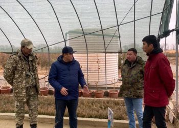 ТҮРКІСТАН: «ЖАСЫЛ АЙМАҚТАҒЫ» ЖҰМЫСТАР ҚАДАҒАЛАНДЫ