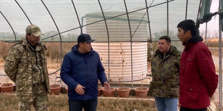 ТҮРКІСТАН: «ЖАСЫЛ АЙМАҚТАҒЫ» ЖҰМЫСТАР ҚАДАҒАЛАНДЫ