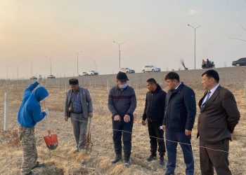 ТҮРКІСТАН: «ЖАСЫЛ БЕЛДЕУ» АУМАҒЫНДА КҮЗГІ ТОЛЫҚТЫРУ ЖҰМЫСТАРЫ ЖҮРГІЗІЛУДЕ