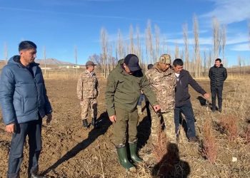 ТҮРКІСТАН: БАСҚАРМА БАСШЫСЫ СОЗАҚ, БӘЙДІБЕК АУДАНДАРЫНА ЖҰМЫС САПАРЫМЕН БАРДЫ