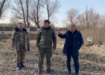 ТҮРКІСТАН ОБЛЫСЫНДАҒЫ ОРМАН ШАРУАШЫЛЫҚТАРЫНЫҢ ЖҰМЫСЫ ТЕКСЕРІЛДІ