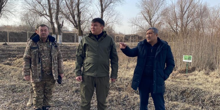 ТҮРКІСТАН ОБЛЫСЫНДАҒЫ ОРМАН ШАРУАШЫЛЫҚТАРЫНЫҢ ЖҰМЫСЫ ТЕКСЕРІЛДІ