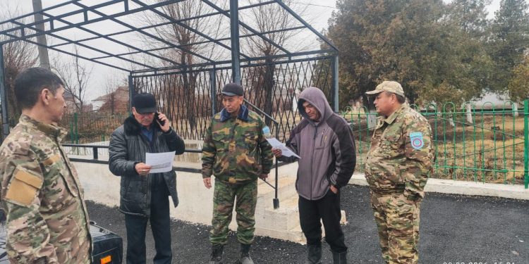 Түркістан облысында заңсыз ағаш кесуге қарсы бақылау күшейтілді