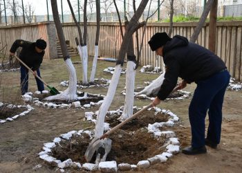 Тазару күні әскерилер гарнизондарда экологиялық бастамалар өткізді
