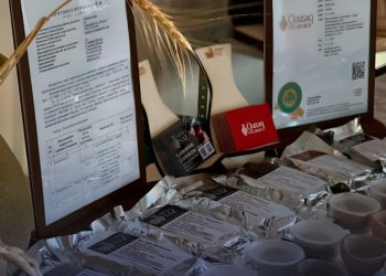 Мемлекеттік грант қолдауымен «Шымкент саз» әлеуметтік жобасы жүзеге асырылуда