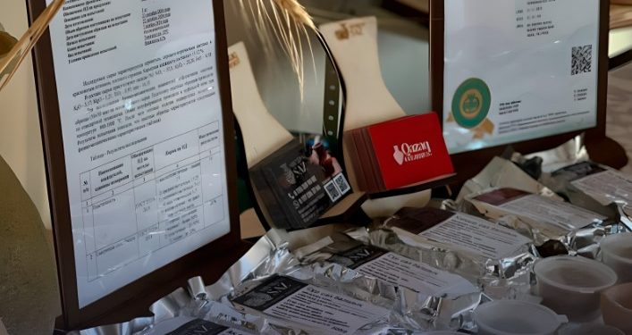 Мемлекеттік грант қолдауымен «Шымкент саз» әлеуметтік жобасы жүзеге асырылуда