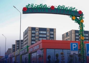 ШЫМКЕНТТЕ ҚАЛА КҮНІНЕ ОРАЙ ЗАМАНАУИ ГҮЛДЕР АЛЛЕЯСЫ АШЫЛДЫ