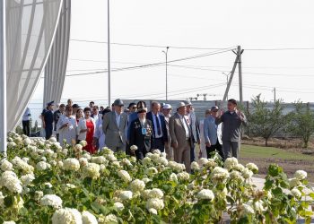 ДЕНЬ ГОРОДА: В МИКРОРАЙОНЕ SHYMKENT CITY ОТКРЫЛИ НОВЫЙ ПАРК