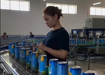 ШЫМКЕНТТЕ ОТАНДЫҚ ӨНДІРІС ӨРІСІ КЕҢЕЙІП КЕЛЕДІ