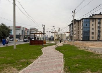 ШЫМКЕНТТЕ КЕЗЕКТІ ЖАҢА ГҮЛЗАР АШЫЛДЫ